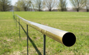 Seeking Harmony at Storm King