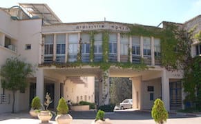 Creative Time Reneges on Promise to BDS Artists with Israel Exhibition, Artist Withdraws [UPDATED]