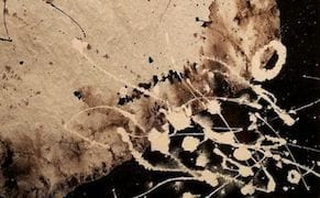 Wandering Through the Refuse