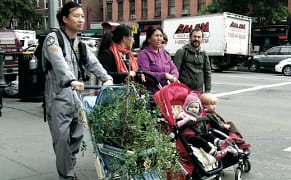 How Soon Is Now? A Precarious Environment Roots in Art