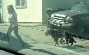 In a Brooklyn Gallery, Yale Meets Instagram