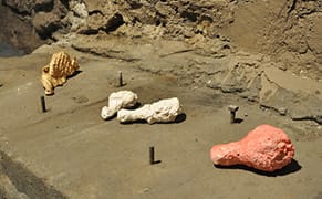 Dancing to the Beat of a Different Drumstick