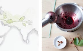 Painting with the City's Invasive Plants