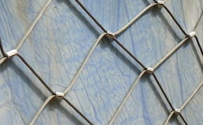 Two Poems by Sheila Maldonado