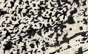 Further Adventures in Mescaline