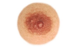 Your Concise Guide to Social Media's Female Nipple Policies