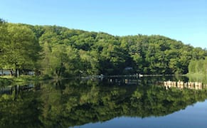 Summer Courses for Artists at Ox-Bow, in Saugatuck, Michigan