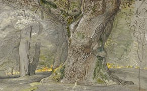 The Romantic Symbolism of Trees