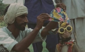 Sigmar Polke’s Sad, Sinister Little Movie of a Monkey and a Bear