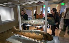 RISD Museum to Unveil New Galleries Featuring Ancient Egyptian and Asian Art