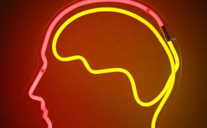 Study Finds Making Art May Keep Our Brains Healthy