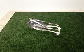 Stretching the Truth of Photography