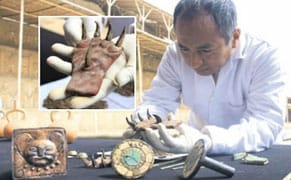 Archeologists Find Possible Ancient Cat Costume in Peru