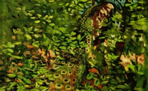 How a Turn-of-the-Century Painter Influenced Military Camouflage