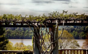 New NYC ID Cards Could Come with Free Museum Admission