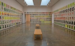Shape Shifting and Body Politics: Amy Sillman at Bard College