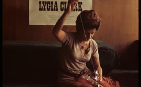 The Radical Brazilian Artist Who Abandoned Art