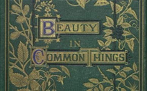 The Romance of Science in Victorian Natural History Bookbindings