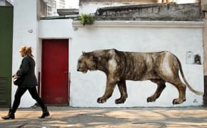 Explore the Activist Street Art of Buenos Aires Online