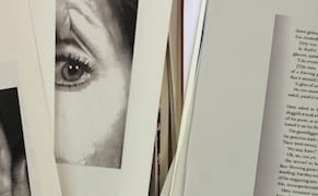 Annika Larsson's Bodies Politic