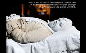 Controversial Barbican Show Canceled After Protest Blockade