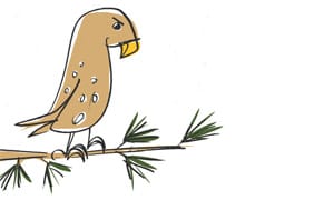 Nature's Performance Art