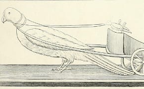 In the Internet Archive's Millions of Public-Domain Images, a Guide to Museum History