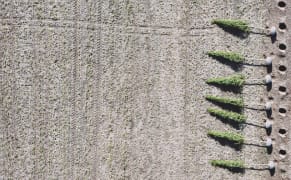 Photographing a 21st-Century Landscape When the Land Itself Is Disappearing