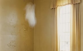 Artifice, Authorship, and the History of Photography