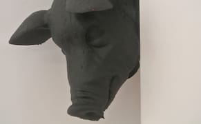 The Psychedelic and Porcine Provocations of Oreet Ashery