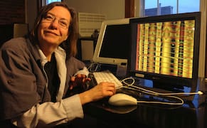 Upstate and Down with Pioneering Media Art