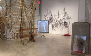 A Biennial Asks: Where Is Brooklyn?