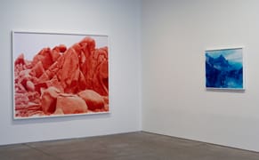 Photographs of Urgent Wilderness