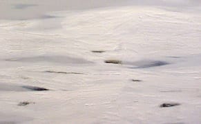 Three Americans Find Leeway in Postwar Paris