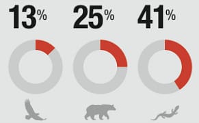 A Colorful Compendium of Infographics for Understanding the World Now