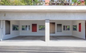 Wrangling Snakes and Flies to Make Art