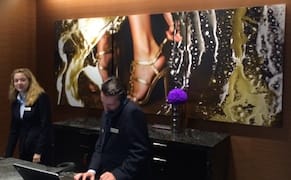 Bargain-Basement Marilyn Minter Knockoffs for Four-Star Hotel