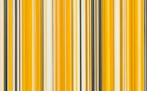 Tactile Sensations, Borrowed from Nature