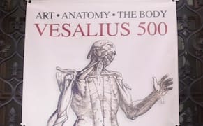 Anatomist of Influence: Celebrating a Renaissance Physician's Legacy in Art and Technology