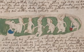New Scans of the Voynich Manuscript, a Medieval Book No One Can Read