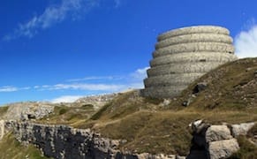 $46M Spent on Extinction Monument Could Help Curb Extinction