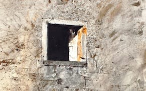 Finding Refuge in Wyeth's Windows