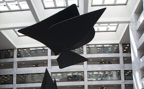 How Many DC Bureaucrats Does It Take to Fix a Calder Mobile?