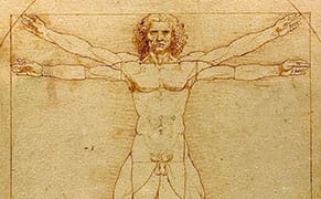 The Original Renaissance Man and His Brain