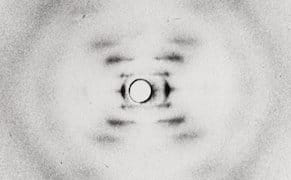 How Rosalind Franklin's "Photo 51” Told Us the Truth About Ourselves