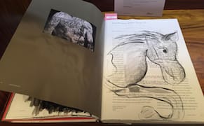 Artists Redraw Their Own Books