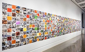 Making Art from Life in Palestine