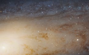 Zoom in on 100 Million Stars with the Hubble Telescope's Largest Released Image