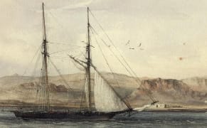 Digitized Sketchbooks Bring Darwin's 'Beagle' Voyage to Life
