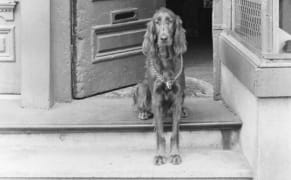 From Manhattan Doorsteps to Brooklyn Living Rooms, a Photographic Map of 1970s New York